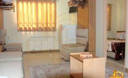 آپارتمان یک خوابه واحد اقامتی فرزانه آپارتمان یک خوابه واحد اقامتی فرزانه