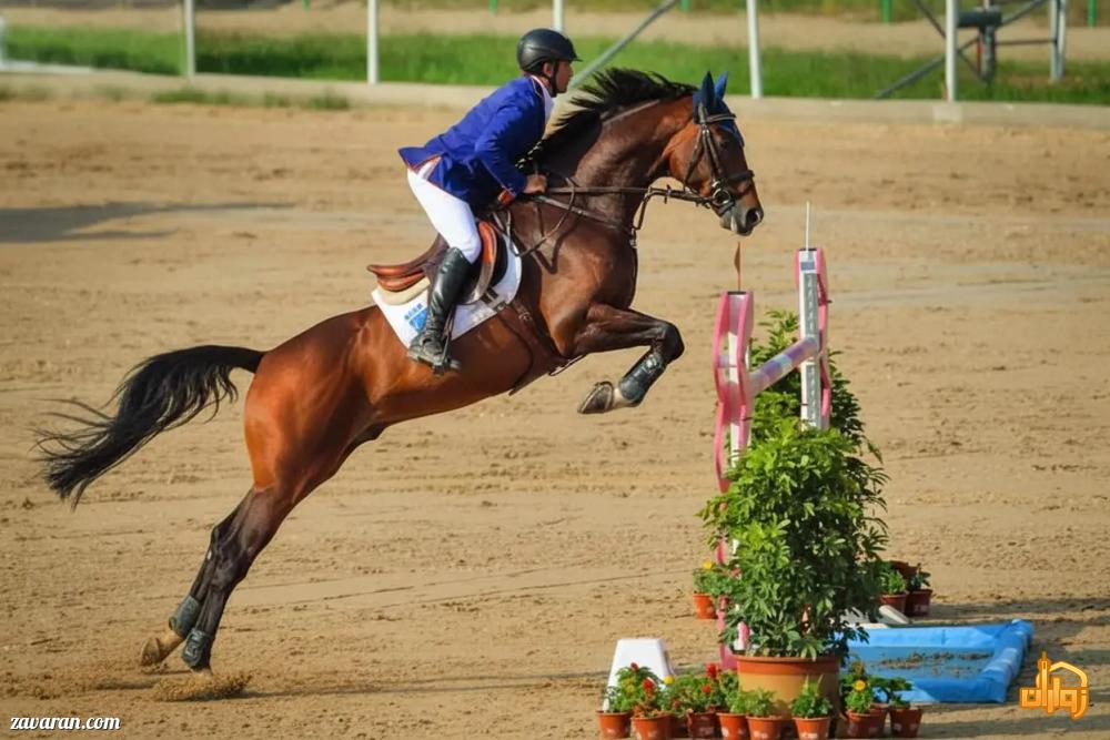 آخر هفته متفاوت در مشهد(معرفی ۳ باشگاه سوارکاری برای تخلیه انرژی)