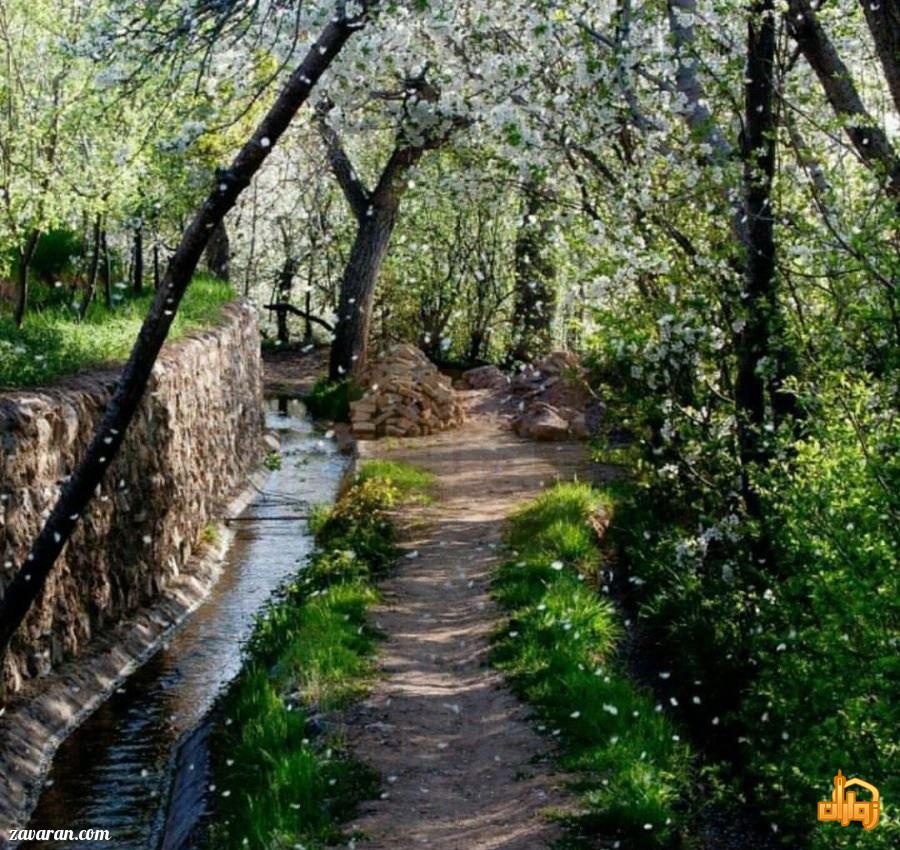 اقتصاد روستای بوژان نیشابور