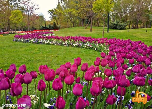باغ گیاه شناسی در مشهد
