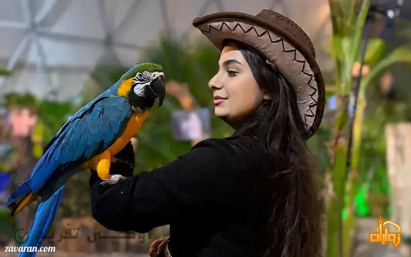 باغ پرندگان مشهد(سفر به دنیای رنگارنگ پرندگان در قلب منطقه سپاد)