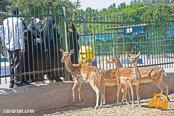 باغ وحش وکیل آباد مشهد