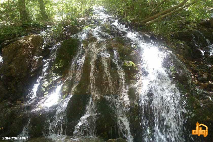 بشار بار در نیشابور