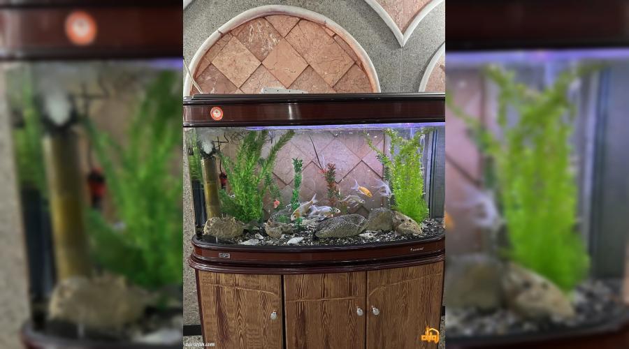 رزرو هتل و هتل آپارتمان ارزان مشهد فقط با پرداخت بیعانه رزرو هتل و هتل آپارتمان ارزان مشهد فقط با پرداخت بیعانه