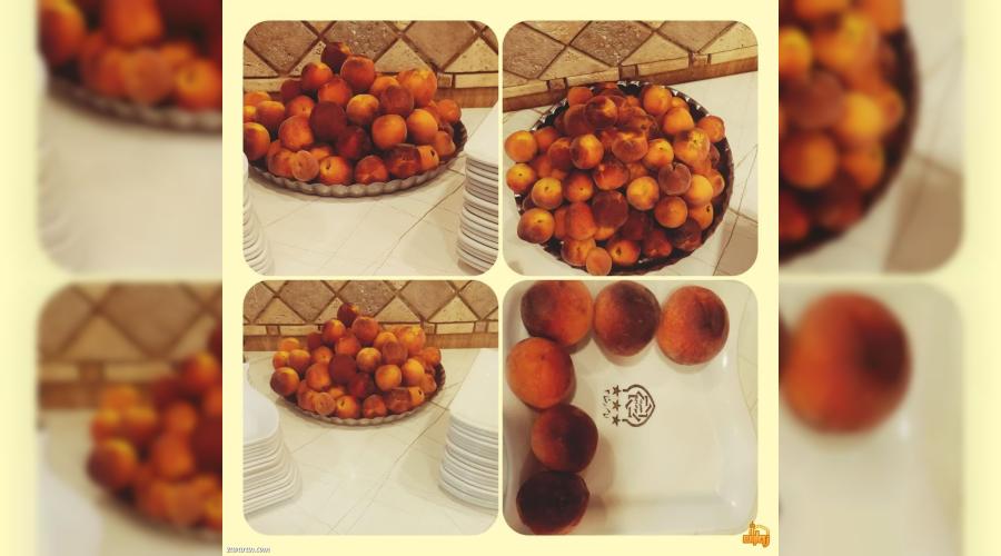 واحد اقامتی حضرت جواد واحد اقامتی حضرت جواد