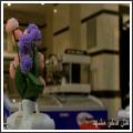 هتل آپارتمان فاخر هتل آپارتمان فاخر